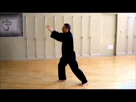 Chen Pan Ling Taijiquan Beginner Drill