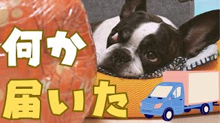 １ヶ月かかったプレゼントが残念な結果に😭