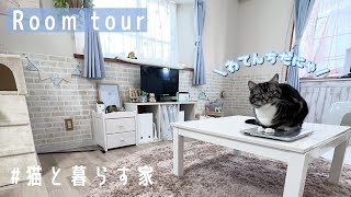 猫と暮らす家 ルームツアーだにゃ 【わての暮らし】足長マンチカン まる Munchkin cat