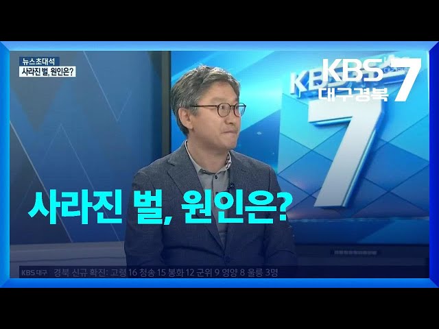 [뉴스초대석] 사라진 벌, 원인은?  (정철의 교수 출연)
