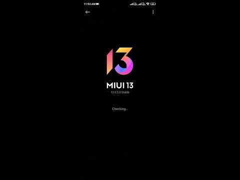 Enable developer mode in MIUI 13