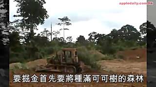 Re: [新聞] 今年金價有望噴漲35％ 川普決定要挖黃金了