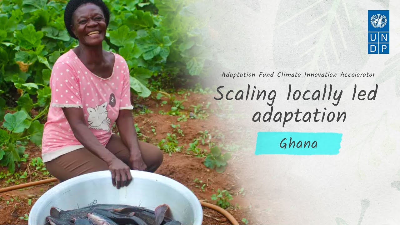 Scaling aquaponics to build climate-resilient livelihoods: Link Ghana
