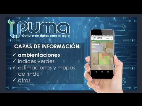 iPUMA