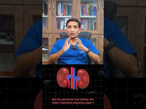 The 5 Main Jobs of Your Kidneys Explained