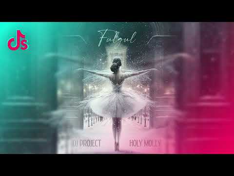 DJ PROJECT x Holy Molly - Fulgul (TIKTOK VERSION)