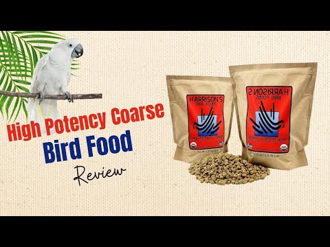 Transform Your Bird's Health with Harrison's Bird Foods | Review