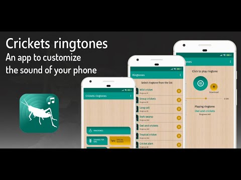 ringtones crickets for phone Video
