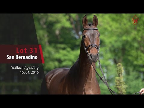 31 San Bernadino Wallach v. Sir Heinrich - Florstan I