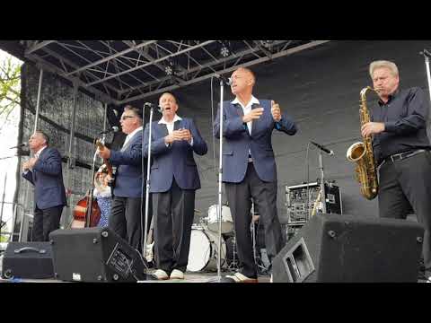 THE ROOMATES - Shu Bop - live at The Jukin' 50s, Verl-Kaunitz 2019