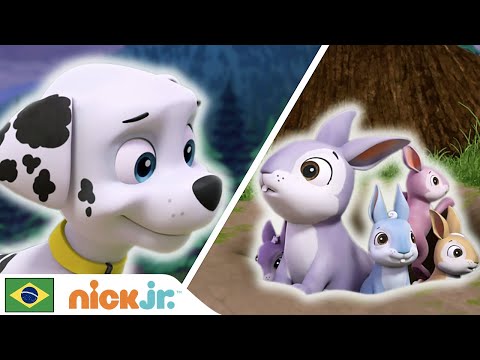 Capa de Patrulha Canina | Patrulha Canina Salva um Amigo | Nick Jr. em Português