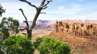 Oliver Nelson - Rhubarb