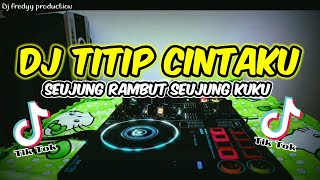 Download lagu DJ TITIP CINTAKU - SEUJUNG RAMBUT SEUJUNG KUKU VIRAL TIKTOK REMIX TERBARU 2022 FULL BASS mp3