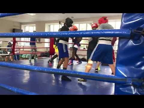 Boxing team training in Ukraine