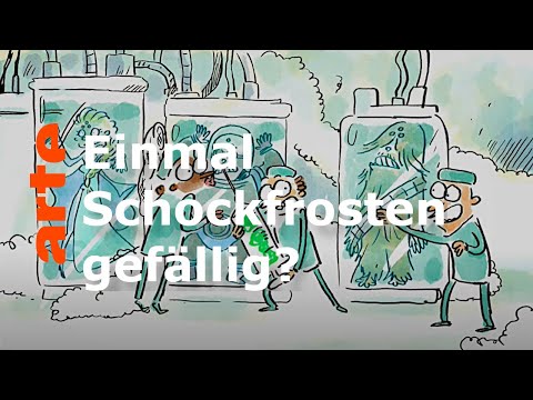 Can you freeze your body? | He who doesn't ask questions dies ignorant! | ARTE