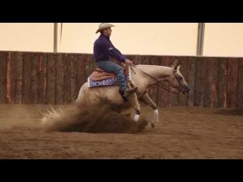 Neighbelline - Hollywood Tinseltown x Glendas A Smokingun