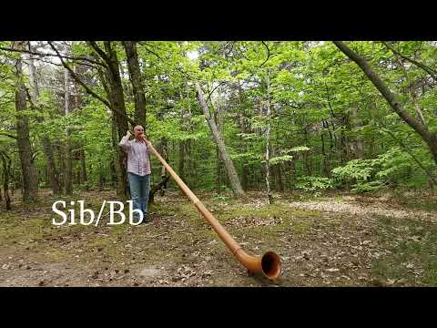 Cour de Cor des Alpes. Alphorn lesson. Episode 1: pose de sons