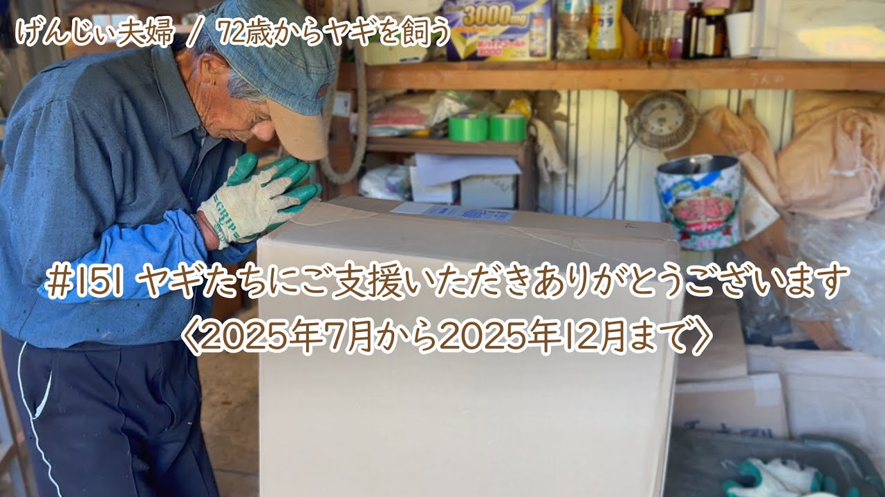 【80歳ヤギ飼い#1】皆様の優しさに感謝。ヤギたちへの贈り物と半年間のご支援報告「72歳からの楽しいシニアライフ#151」