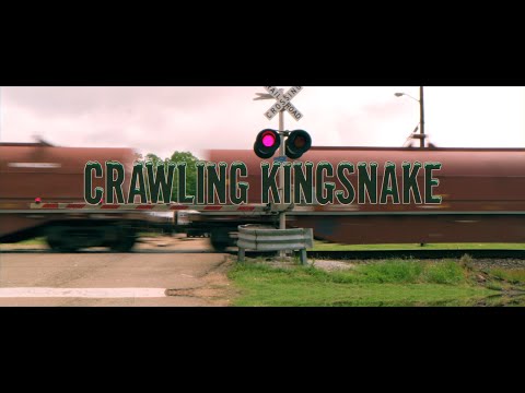 Thumbnail de Crawling Kingsnake