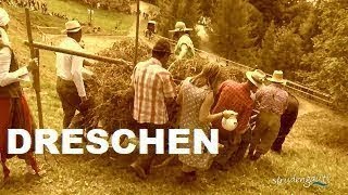 preview picture of video 'Kleesamen Dreschen'