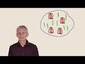 BioEssays Were Eukaryotes Made By Sex