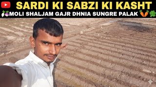 Download lagu Sardi ki sabzi ki khast🌽🥭🍎🍐Sheeda vilogs mp3