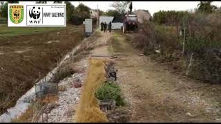 ecco-come-i-bracconieri-catturano-le-specie-protette