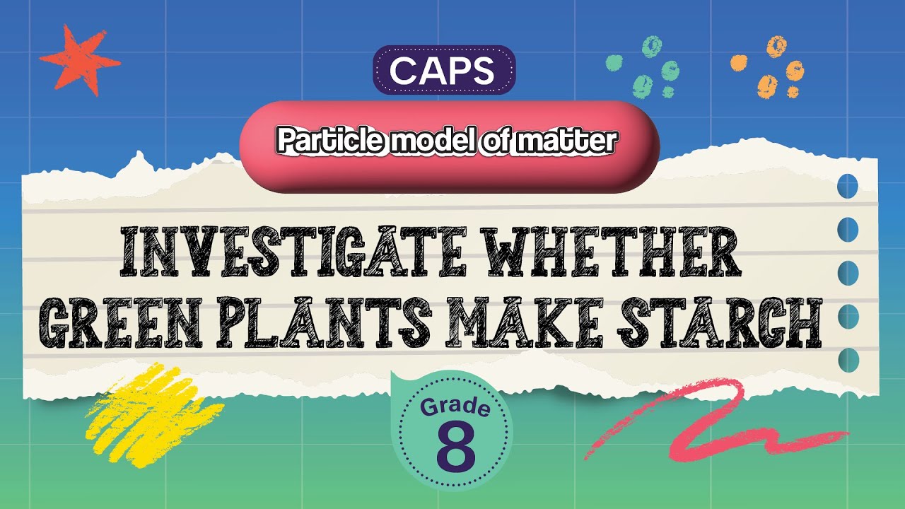 [GRADE 8] Investigate whether green plants make starch