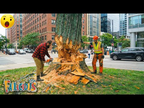 TOTAL IDIOTS AT WORK | Instant Regret Fails Compilation 2025 | Best fail of the week😂 #66