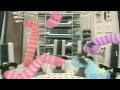 Sesame Street Worms In Space The Worms Can Make The Number 17 In Space