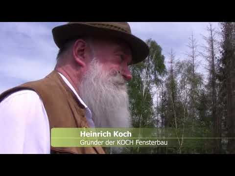 Bäume pflanzen - wir machen das!