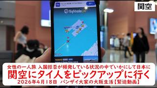女性の一人旅 入国拒否が頻発している状況の中でいかにして日本に【関空にタイ人をピックアップに行く】2026年4月18日　バンザイ大家の大阪生活【緊迫動画】