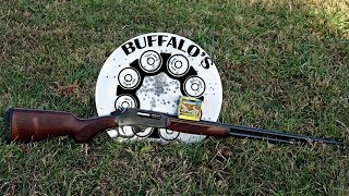 Henry Lever Action .410 - Small Game Patterns