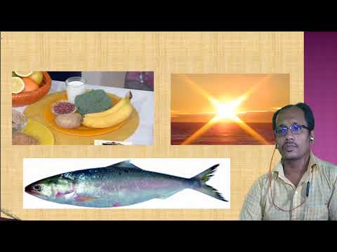 à¦¬à¦¿à¦œà§à¦žà¦¾à¦¨, à¦ªà§à¦°à¦¥à¦® à¦…à¦§à§à¦¯à¦¾à¦¯à¦¼, à¦¨à¦¬à¦® à¦¦à¦¶à¦®