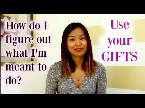 How do I figure out the career I'm meant to do?