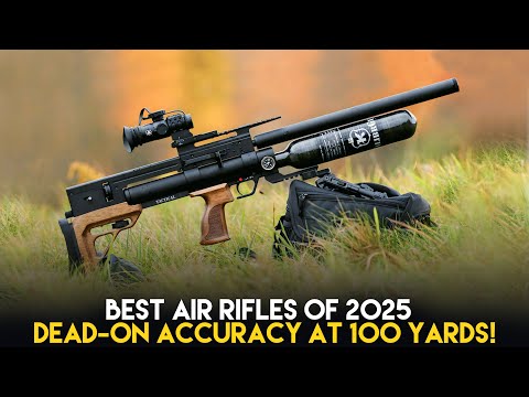 Top 10 Most Accurate Air Rifles at 100 Yards for 2025 | Precision Shooting Guide