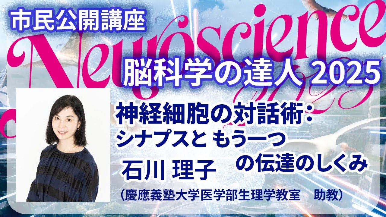 【脳科学の達人2025】石川理子「神経細胞の対話術：シナプスともう一つの伝達のしくみ」