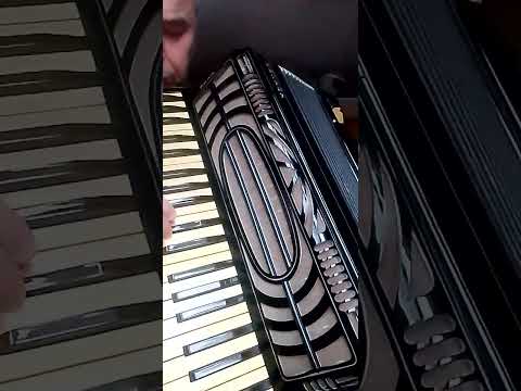 Hohner Tango V Accordion – 140 Bass, 41 Keys – Vintage Black & Yellow Design (1950s) image 17