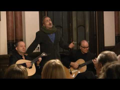 João Loy - "Como Palavras de Fado" no Fado Meia-Noite