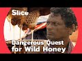 Wild Honey Hunters Of The Sundarbans Facing Tigers And Danger SLICE FULL DOCUMENTARY