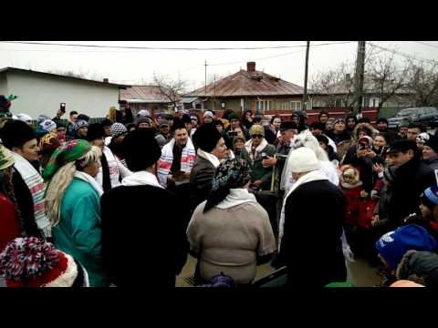 Datini si obiceiuri: Nunta țărănească din Coada stâncii 2016