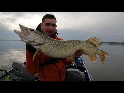 Meterhecht auf den letzten Wurf ?!? Hechtangeln im Frühjahr mit Alexander Kalweit