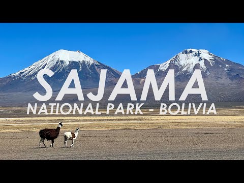 Exploring the Beauty of Parque Nacional Sajama - Bolivia - 4K