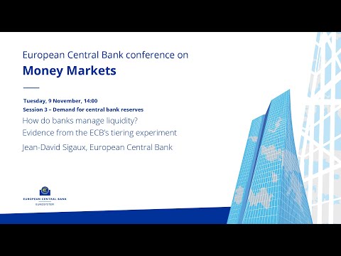 ECB Conference on Money Markets: Session 3 – Demand for central bank reserves: Banks liquidity?