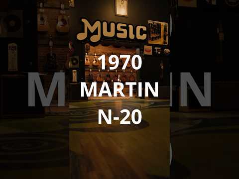 1970 Martin N-20 image 15