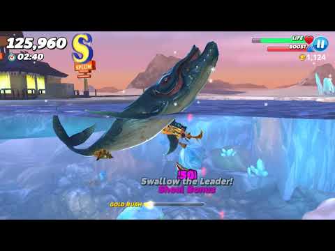 Heidi Shark Live Contest (Arctic Ocean) - Hungry Shark World