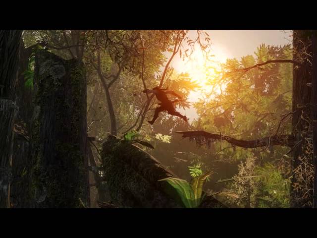 Assassin's Creed the America's Collection