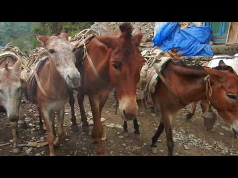 Rebuild a Nepali Village Destroyed by Earthquakes