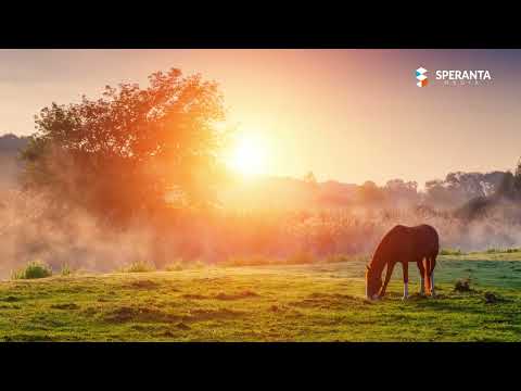 Cantari pentru suflet - Colaj cantari crestine