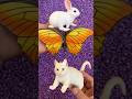 cat, rabbit, butterfly
